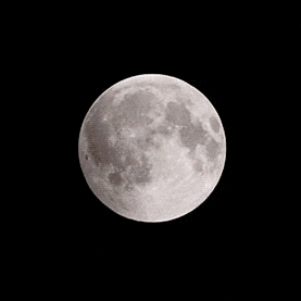 May New Moon Magic: Time to Manifest Like You Mean It