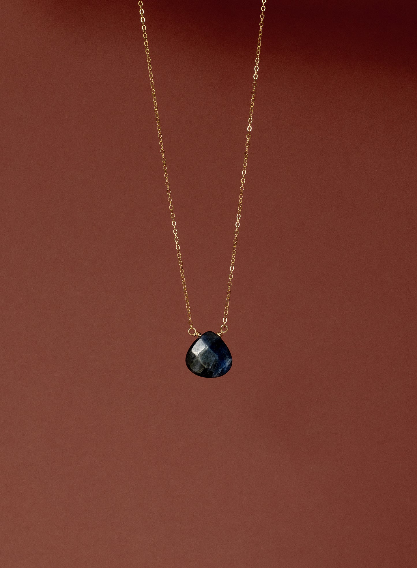 Sodalite 14K Gold-Filled Necklace